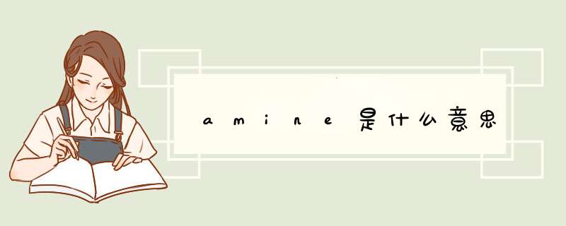 amine是什么意思