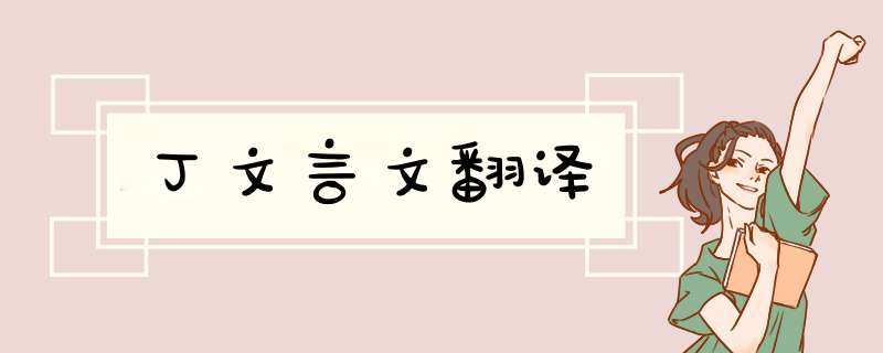 丁文言文翻译,第1张