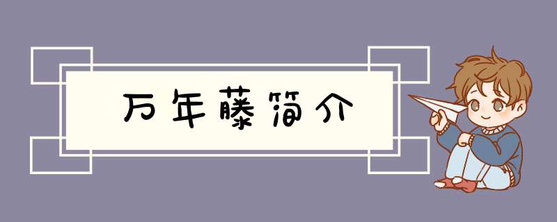 万年藤简介,第1张