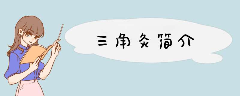三角灸简介