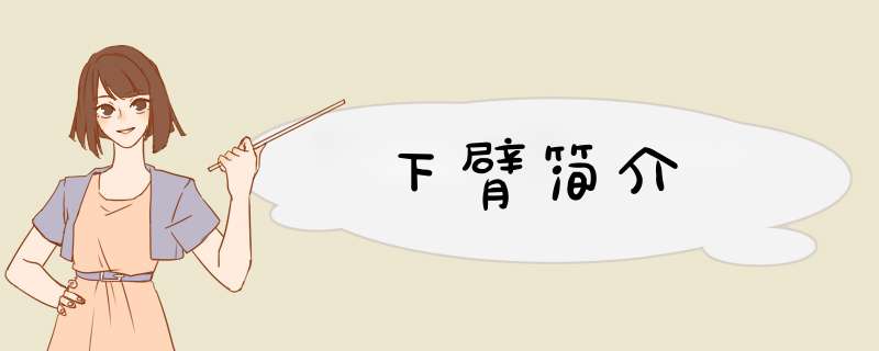 下臂简介,第1张