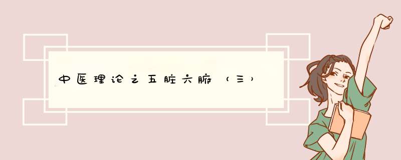 中医理论之五脏六腑（三）,第1张