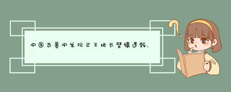 中国古墓中发现已灭绝长臂猿遗骸，经考证竟是秦始皇祖母宠物。如何评价这一发现？,第1张