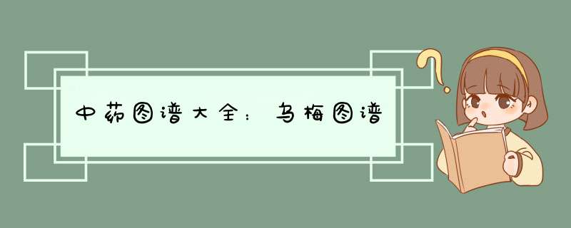 中药图谱大全：乌梅图谱