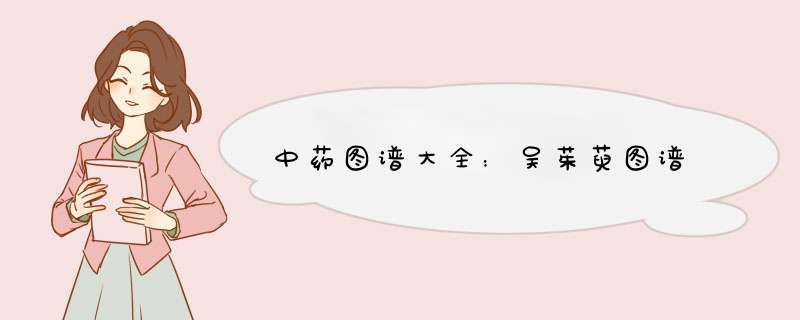 中药图谱大全：吴茱萸图谱,第1张