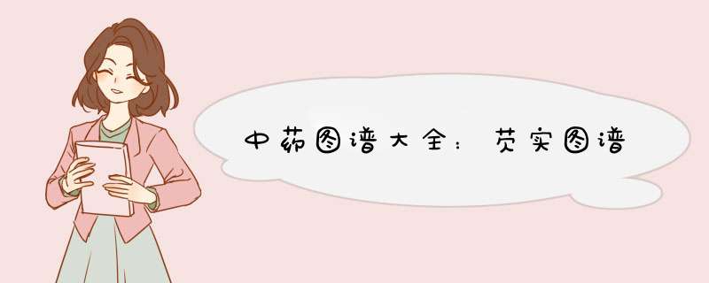 中药图谱大全：芡实图谱