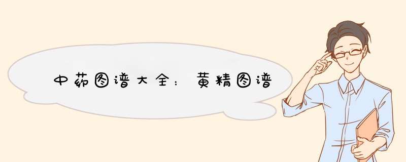 中药图谱大全：黄精图谱,第1张