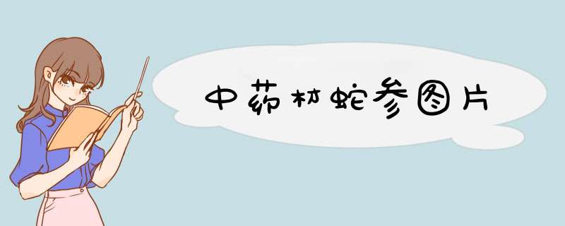 中药材蛇参图片,第1张