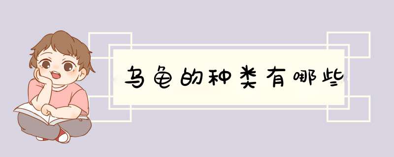 乌龟的种类有哪些,第1张