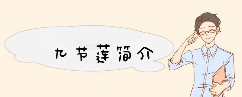 九节莲简介,第1张