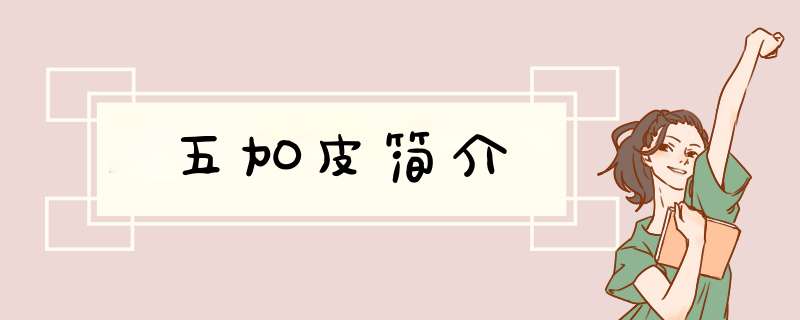 五加皮简介,第1张