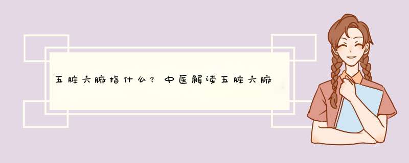 五脏六腑指什么？中医解读五脏六腑