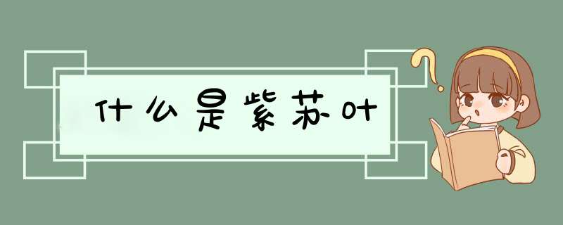 什么是紫苏叶,第1张