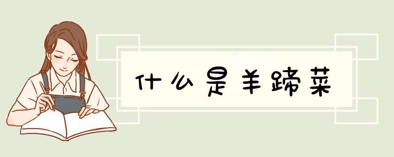 什么是羊蹄菜,第1张