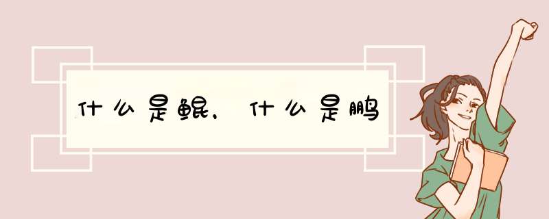 什么是鲲，什么是鹏,第1张