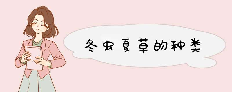 冬虫夏草的种类,第1张