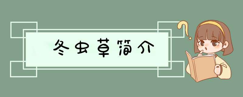 冬虫草简介,第1张