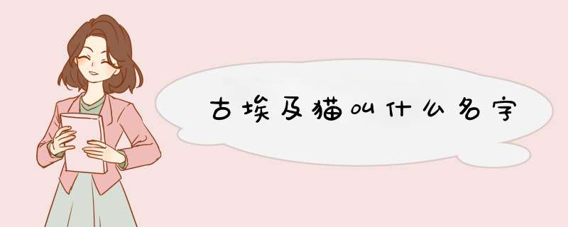 古埃及猫叫什么名字