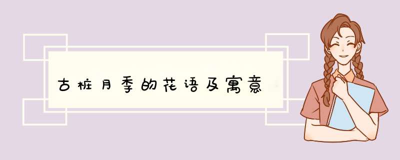 古桩月季的花语及寓意,第1张