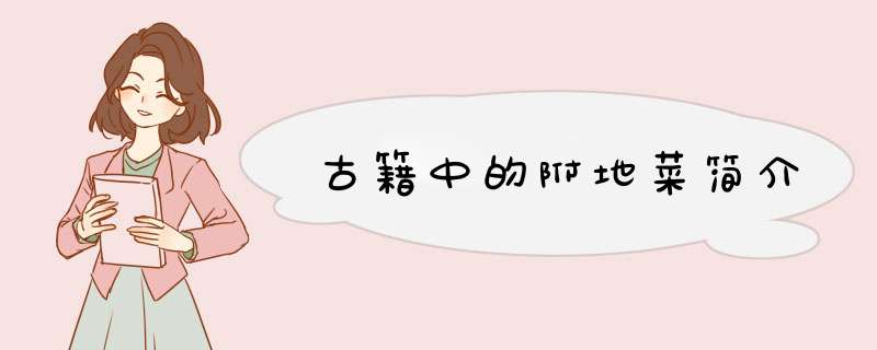 古籍中的附地菜简介,第1张