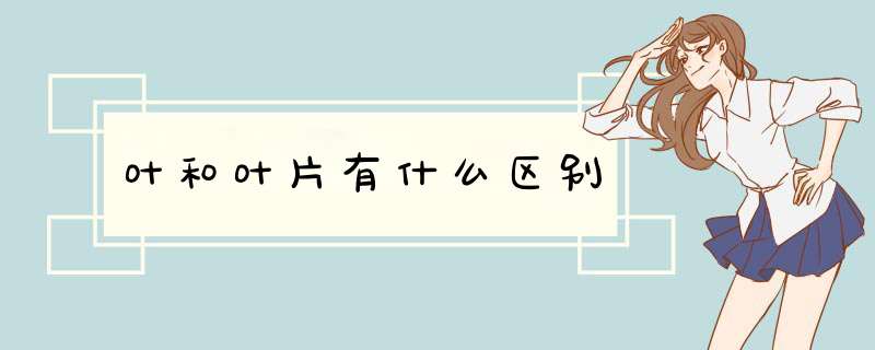 叶和叶片有什么区别,第1张