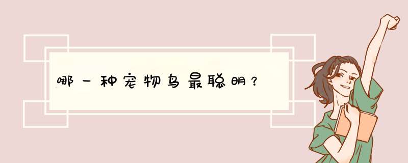 哪一种宠物鸟最聪明？,第1张
