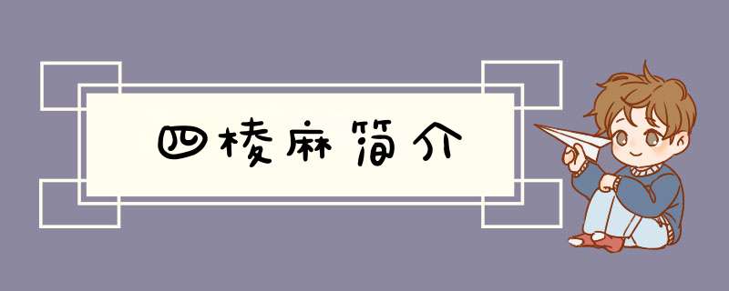 四棱麻简介,第1张