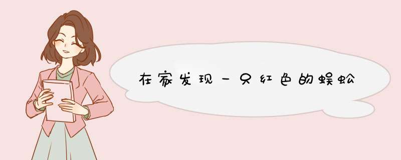在家发现一只红色的蜈蚣