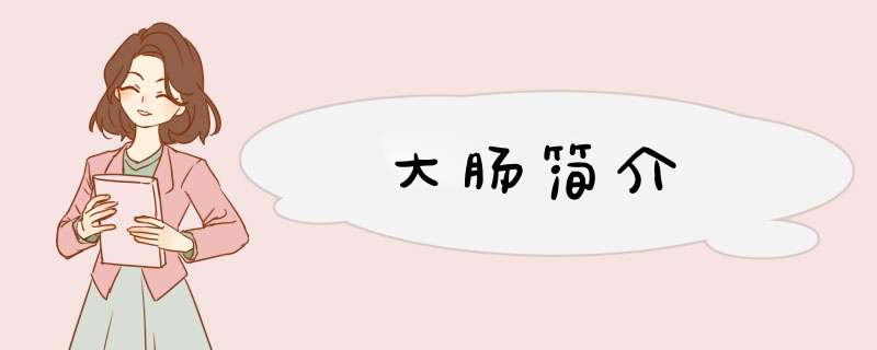 大肠简介,第1张