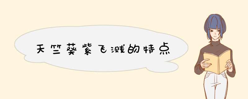 天竺葵紫飞溅的特点