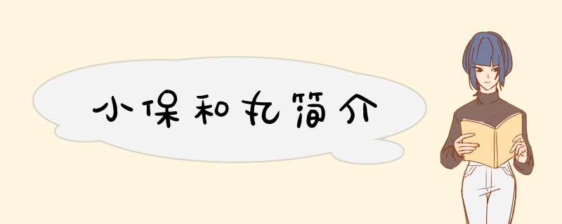小保和丸简介,第1张