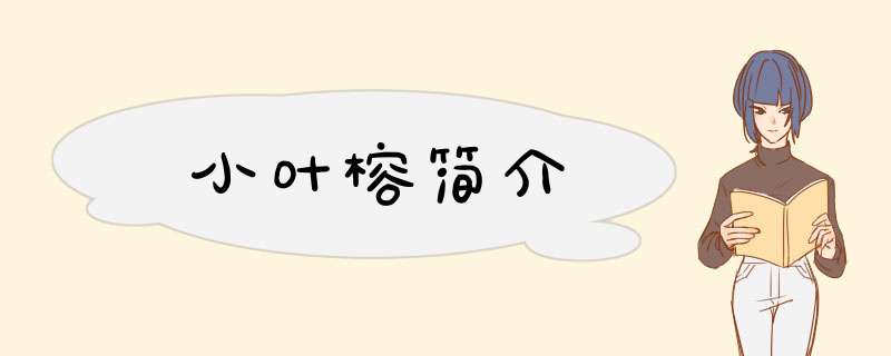 小叶榕简介,第1张