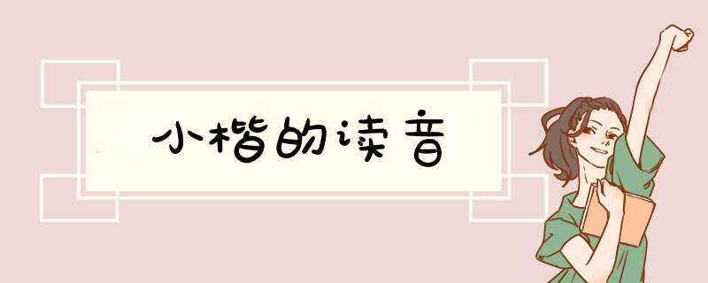 小楷的读音,第1张