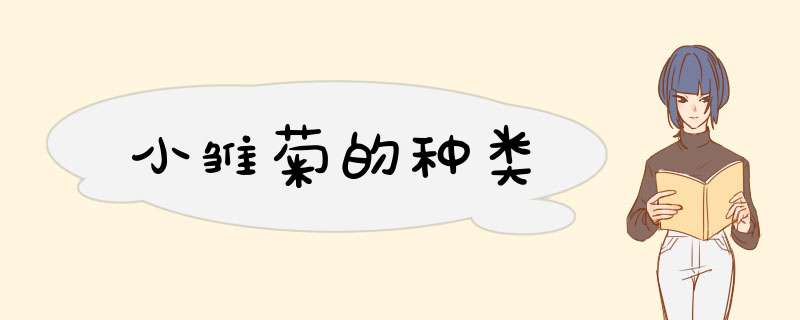 小雏菊的种类,第1张