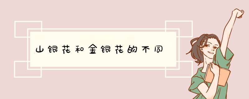山银花和金银花的不同,第1张