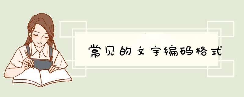 常见的文字编码格式,第1张
