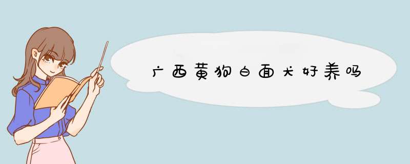 广西黄狗白面犬好养吗,第1张
