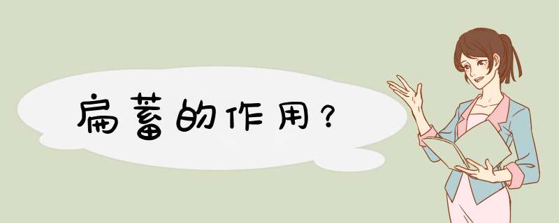 扁蓄的作用？,第1张