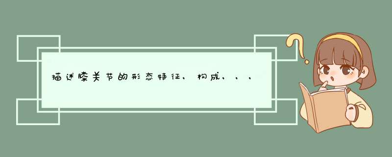 描述膝关节的形态特征,构成,,,