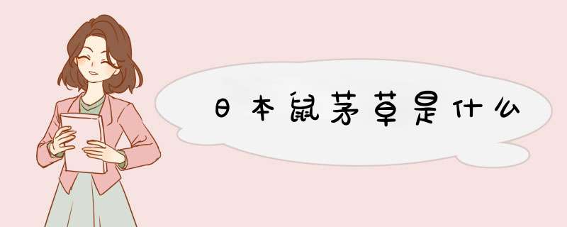 日本鼠茅草是什么,第1张