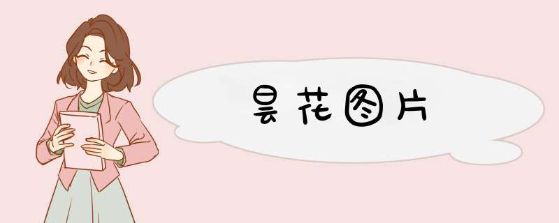 昙花图片,第1张