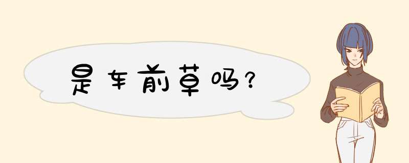 是车前草吗？,第1张