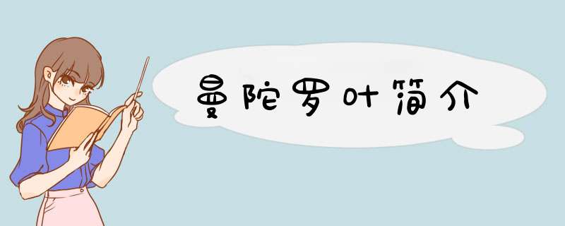 曼陀罗叶简介,第1张