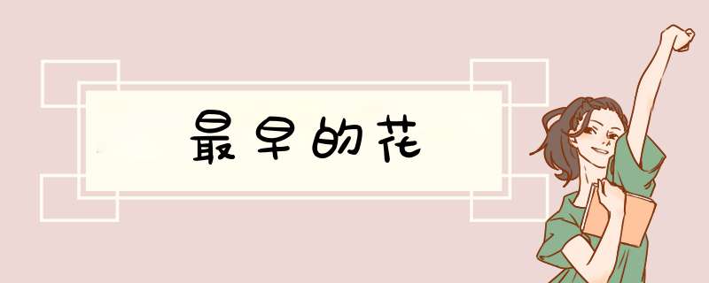 最早的花,第1张