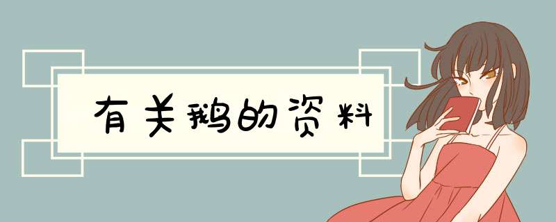 有关鹅的资料,第1张