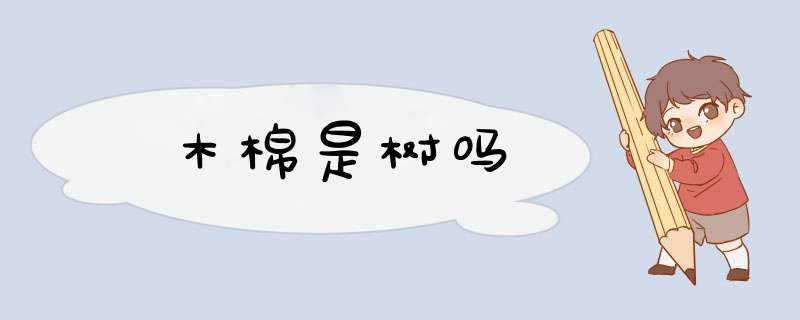 木棉是树吗,第1张
