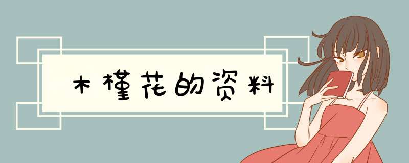 木槿花的资料