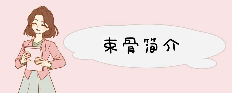 束骨简介,第1张