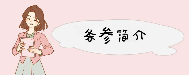 条参简介,第1张