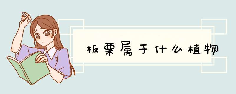 板栗属于什么植物,第1张